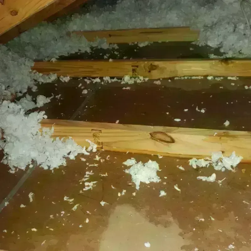 Attic Water Damage in Cuero, TX